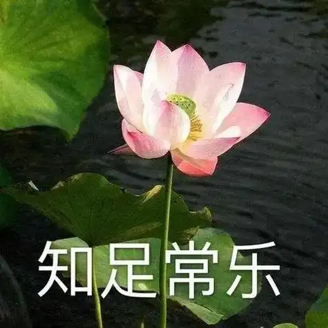 老年人头像你冲不冲.啊 荷花头像来一波啊 来一波 #老年人头 - 抖音