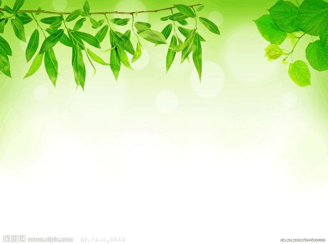 教育语文课件背景图片ppt