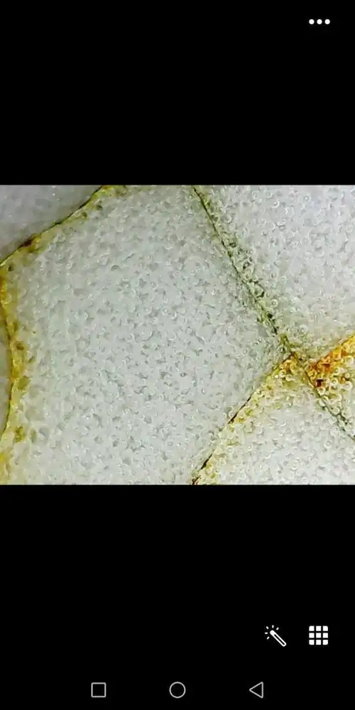 这是不是传说中的哥窑什么什么气泡吗