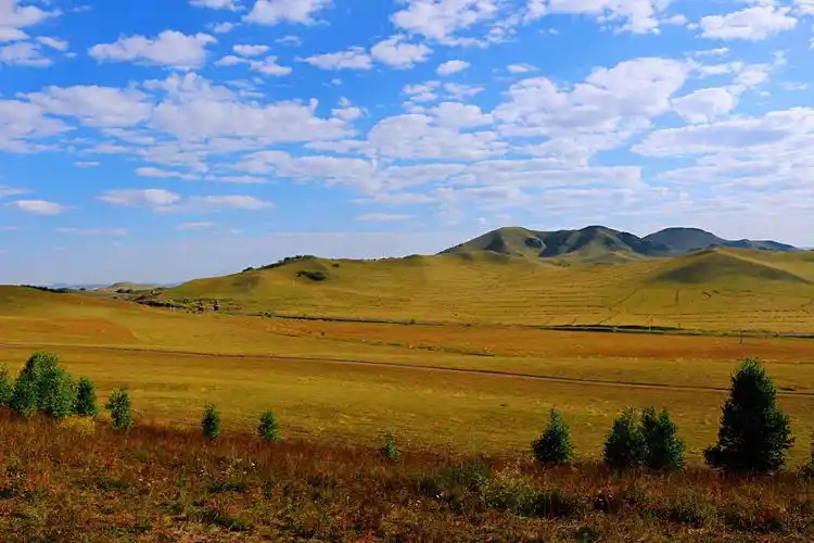 蓝天白云,风景秀丽,尽显坝上草原的迷人风光