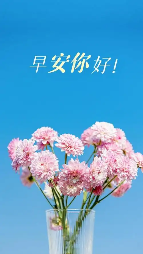 周二,早安!浇岁月正能量句子奋斗的