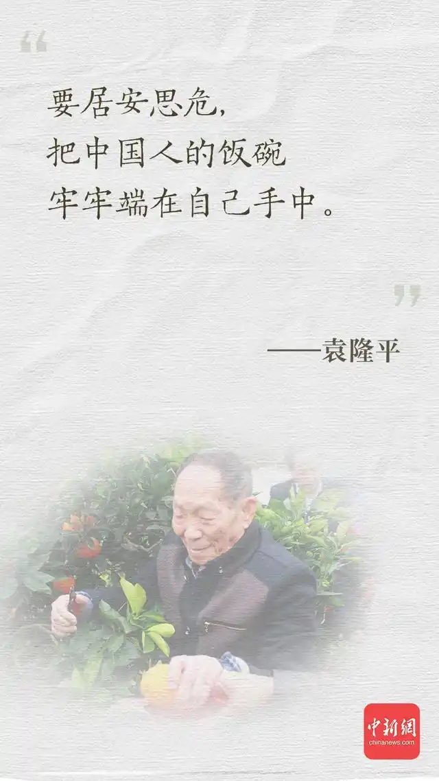 最好的纪念!牢记袁隆平爷爷的这些话