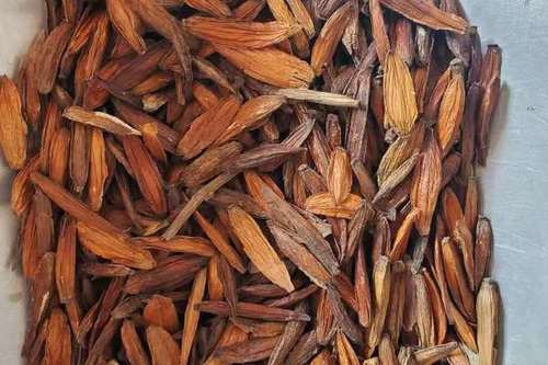 0/斤 喜树果 千丈树 水栗子 天梓树中药材今年新货干净无杂,产地直