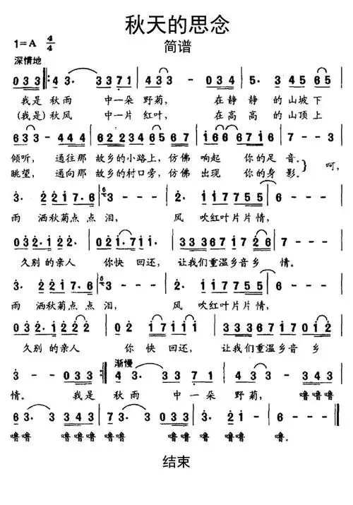 秋天的思念简谱