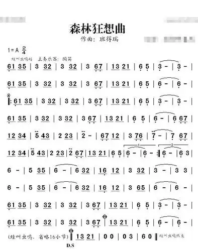 《森林狂想曲》简谱-明明简谱网