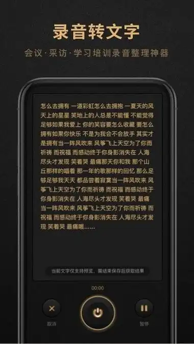 录音转文字文本