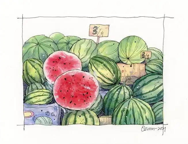 钢笔淡彩|水彩(西瓜)附线稿|纯艺术|绘画|知秋绘 - 原创作品 - 站酷 (