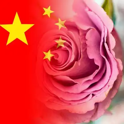 国旗渐变头像一键生成流行的国旗渐变头像