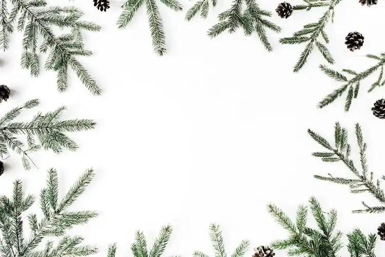 极简素雅温馨白色背景图片