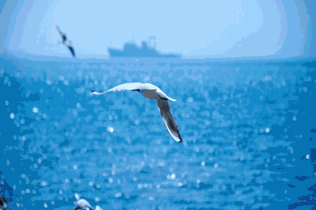 640_427gif 动态图 动图