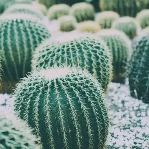 抖音封面图,火爆的朋友圈,最流行的封面