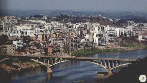 才子之乡富顺-四川篆刻名家作品-图片