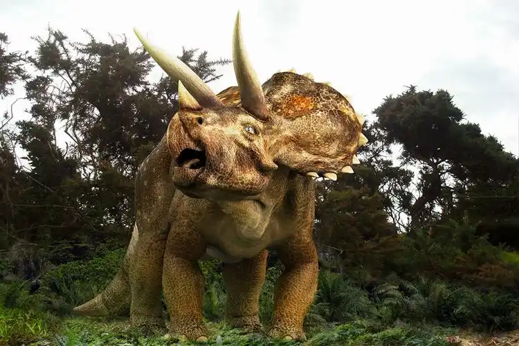 三角龙_恐龙图片_恐龙图库恐龙品种图片大全,恐龙复原图高清恐龙图片