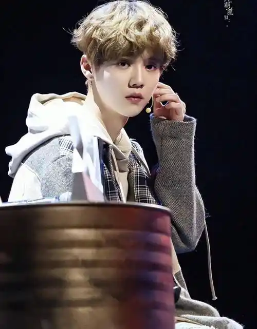 鹿晗补税最多补8亿_社会_公众_税务