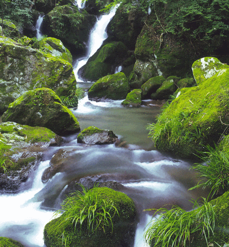 山水图片头像山水图片头像好运自然风景