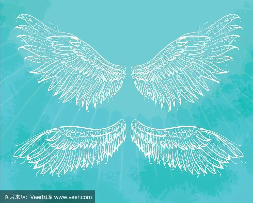 手绘的翅膀