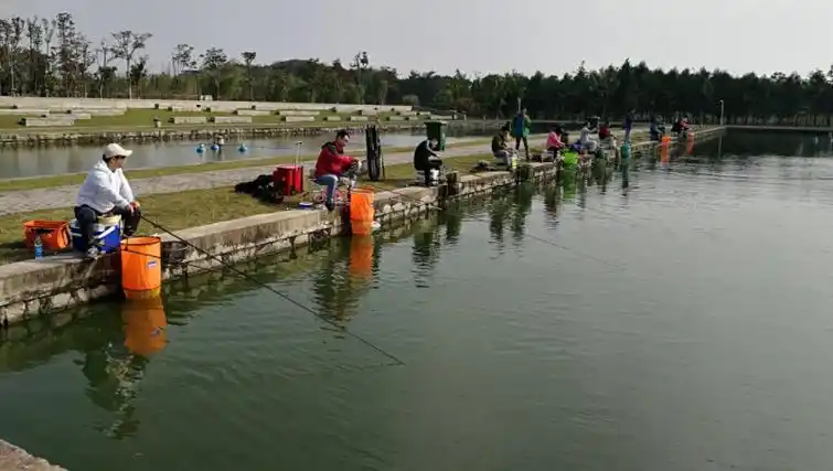 在计时鱼塘钓鱼,怎样胜过鱼塘主