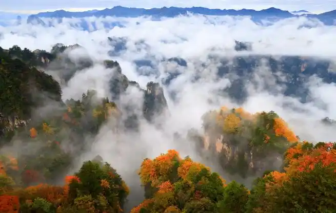 9493秋天的风景,红叶可以代表一种,在四川巴中光雾山,漫山的红叶