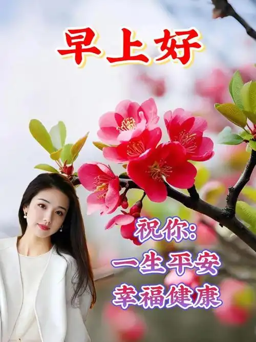 早安图片,唯美早上好祝福图片