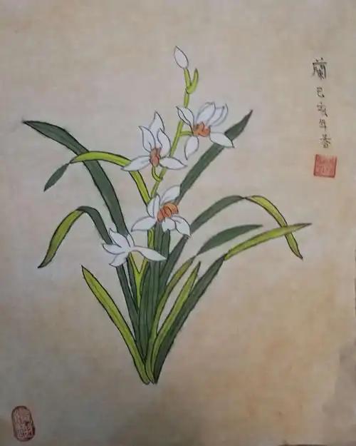 花鸟绘画班兰花作品集