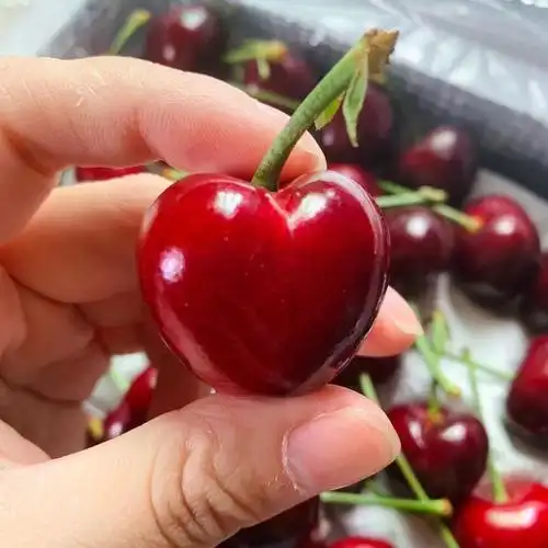 冠町 大连美早大樱桃 国产车厘子新鲜水果礼盒 jjj级2斤晒单图