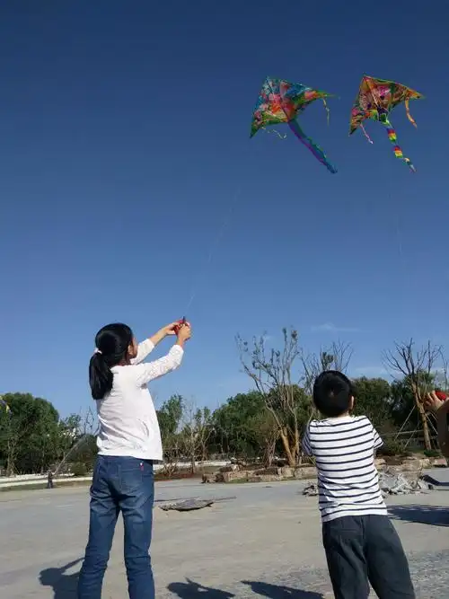 今天的天气最适合放风筝