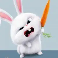 2020最火爆微信头像卡通动物点击鼠标右键下载