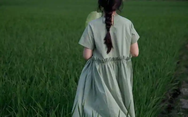 治愈抹茶绿色系ins壁纸