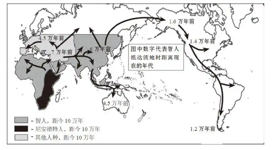 翟玉忠人类早期文化的同质性