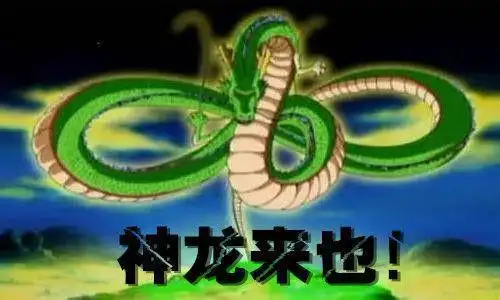 集齐以上绿色礼物就可以召唤神龙的节奏啊可以召唤李小lu马蓉白