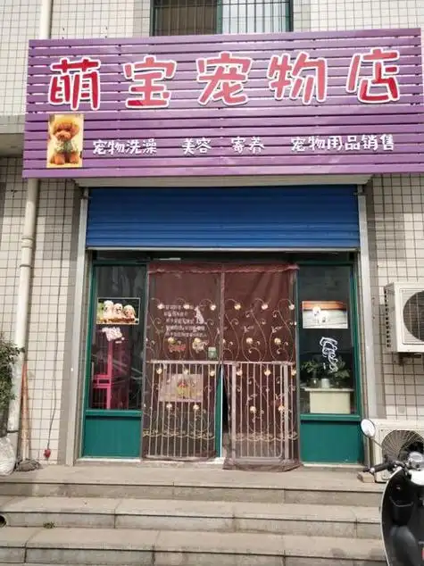淄博张店宠物狗名字大全_淄博张店宠物店
