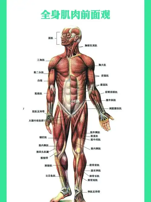 这种情况你觉得谁的身体更好?