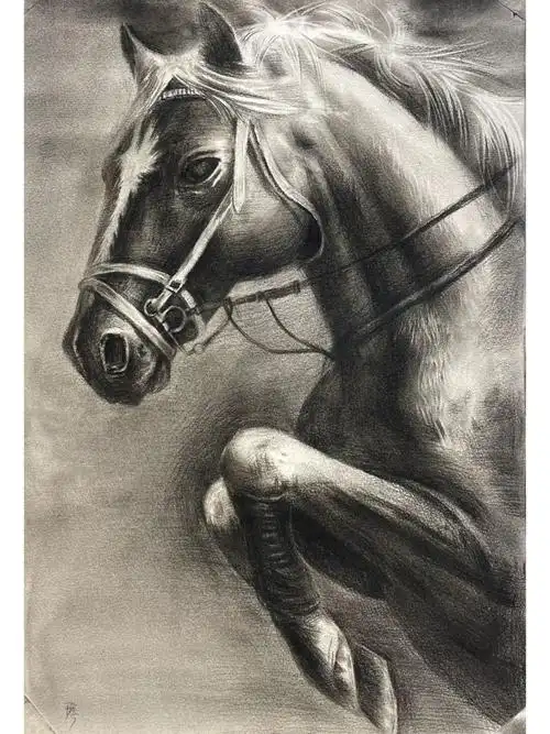 素描奔腾的骏马