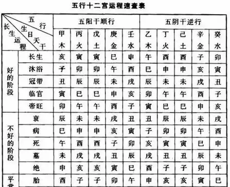 14八字十天干墓库论墓库被合