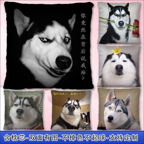 哈士奇二哈神烦狗抱枕表情包搞怪个性定制创意搞笑送朋友生日礼物