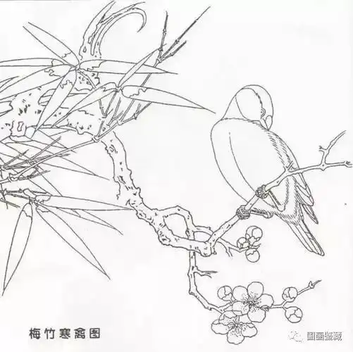 书画鉴赏丨宋代花鸟白描画稿,临摹收藏