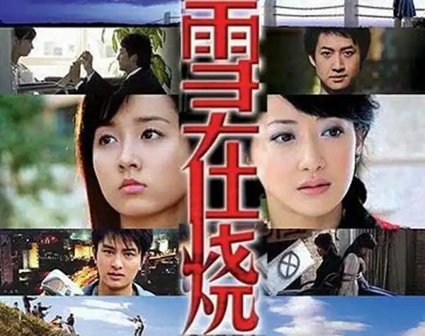 罗一罗柔是什么电视剧,雪在烧电视剧剧情介绍(《雪在烧》的罗一成了