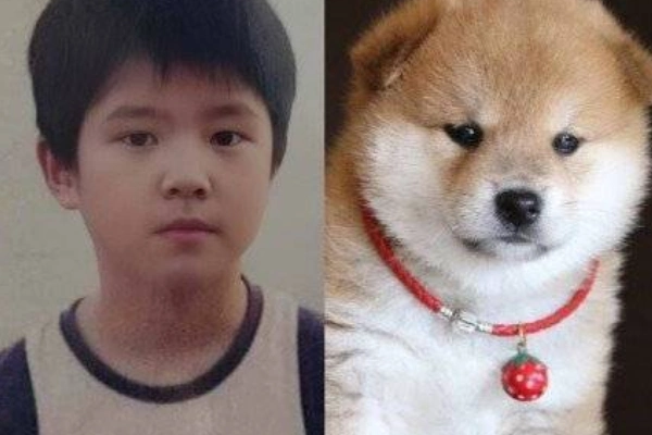 刘昊然童年旧照走红,脸蛋肥胖可爱酷似柴犬,对比成名后变化明显