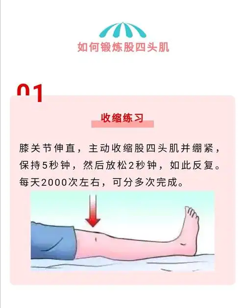 保护膝关节股四头肌锻炼
