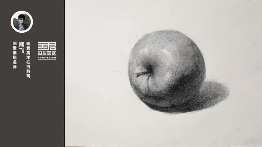 素描静物单体苹果默写熊飞
