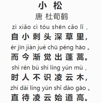 每日解读一首唐诗:049《小松》(杜荀鹤)