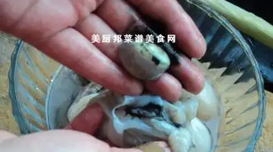 墨囊墨鱼身上什么不能吃墨鱼,又称墨斗鱼,乌贼.