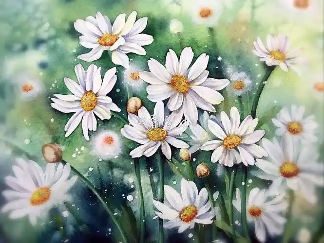 雏菊水彩画 雏菊水彩画教程简单