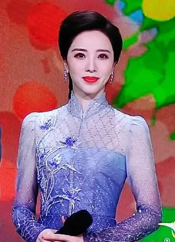 话说央视春晚主持人李思思 - 美篇