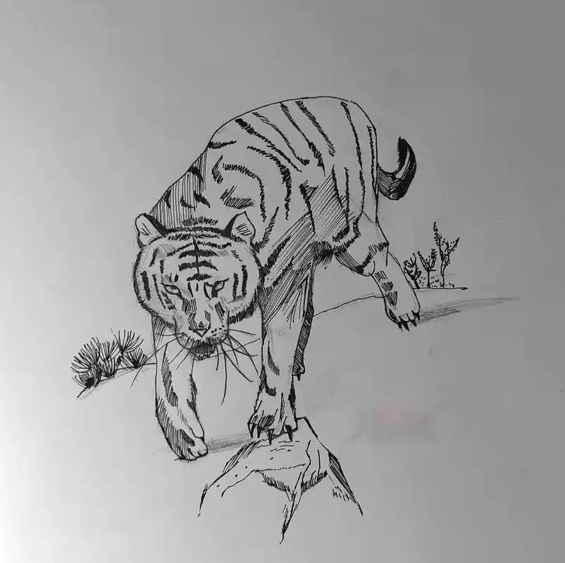 老虎#霸气#艺术小新#手绘#日常#瞎画 - 抖音