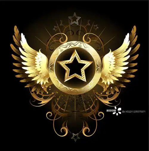 金色翅膀的星星