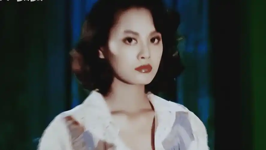 回顾宁静与外国丈夫闪婚闪离二婚嫁圈内人隐婚10年婚姻怎样了