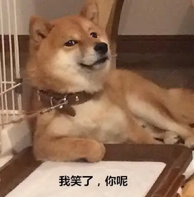 男子正教育柴犬低头一看人都傻了你是表情包成精吗