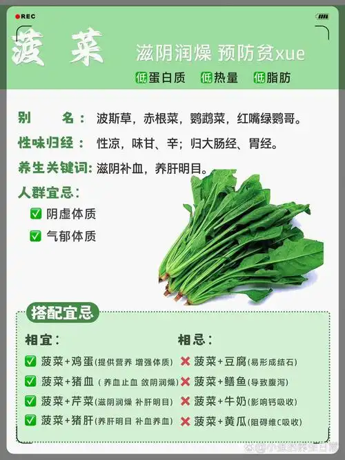 每日识一物『菠菜』食物相宜与相克