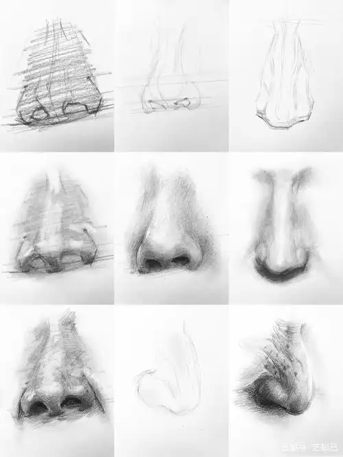 素描精讲之鼻子,学会之后,不愁画不出帅哥靓女